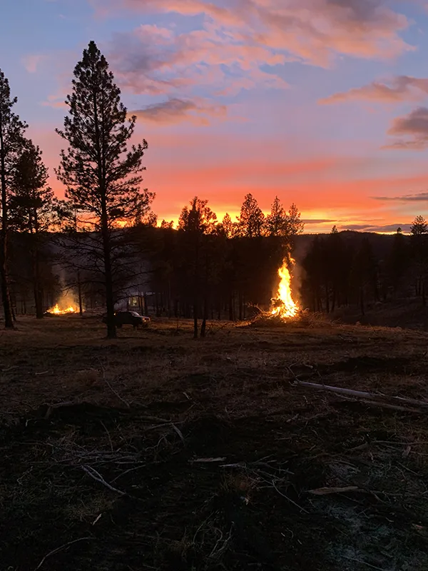 fire mitigation services
