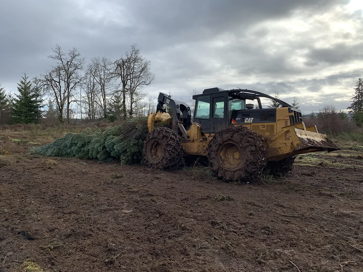 land clearing services