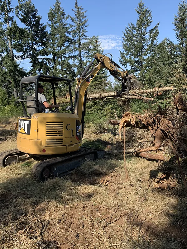 brush clearing