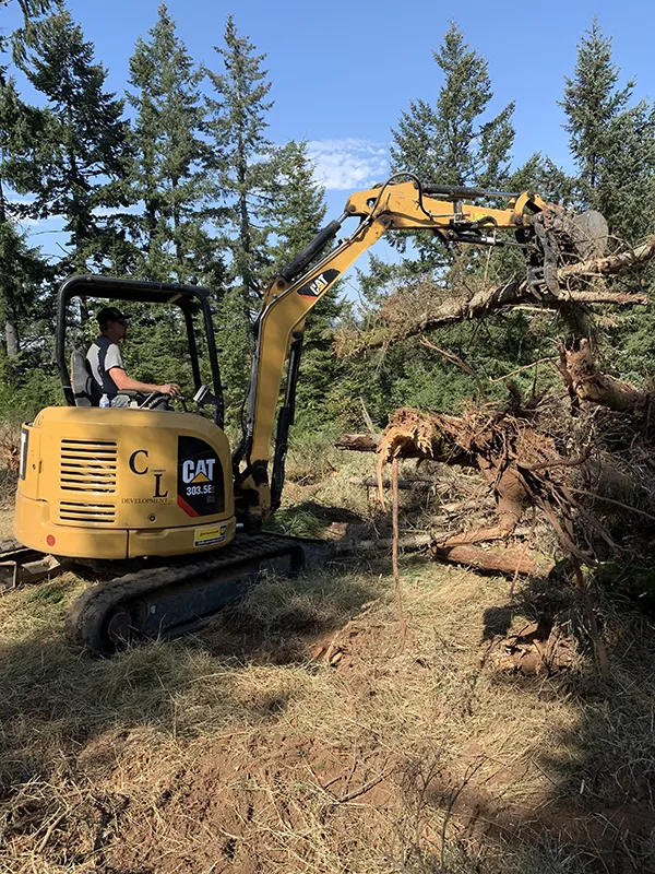 site preparation