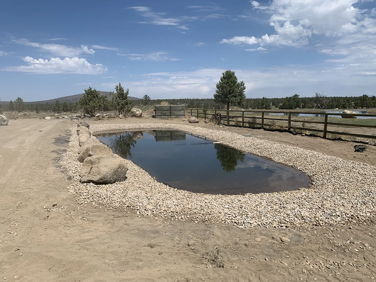 pond repair